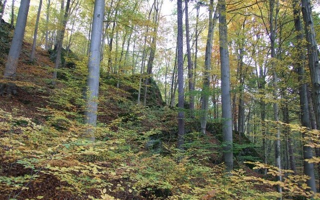 Krajina Jeseníků. Foto: Martin Míček